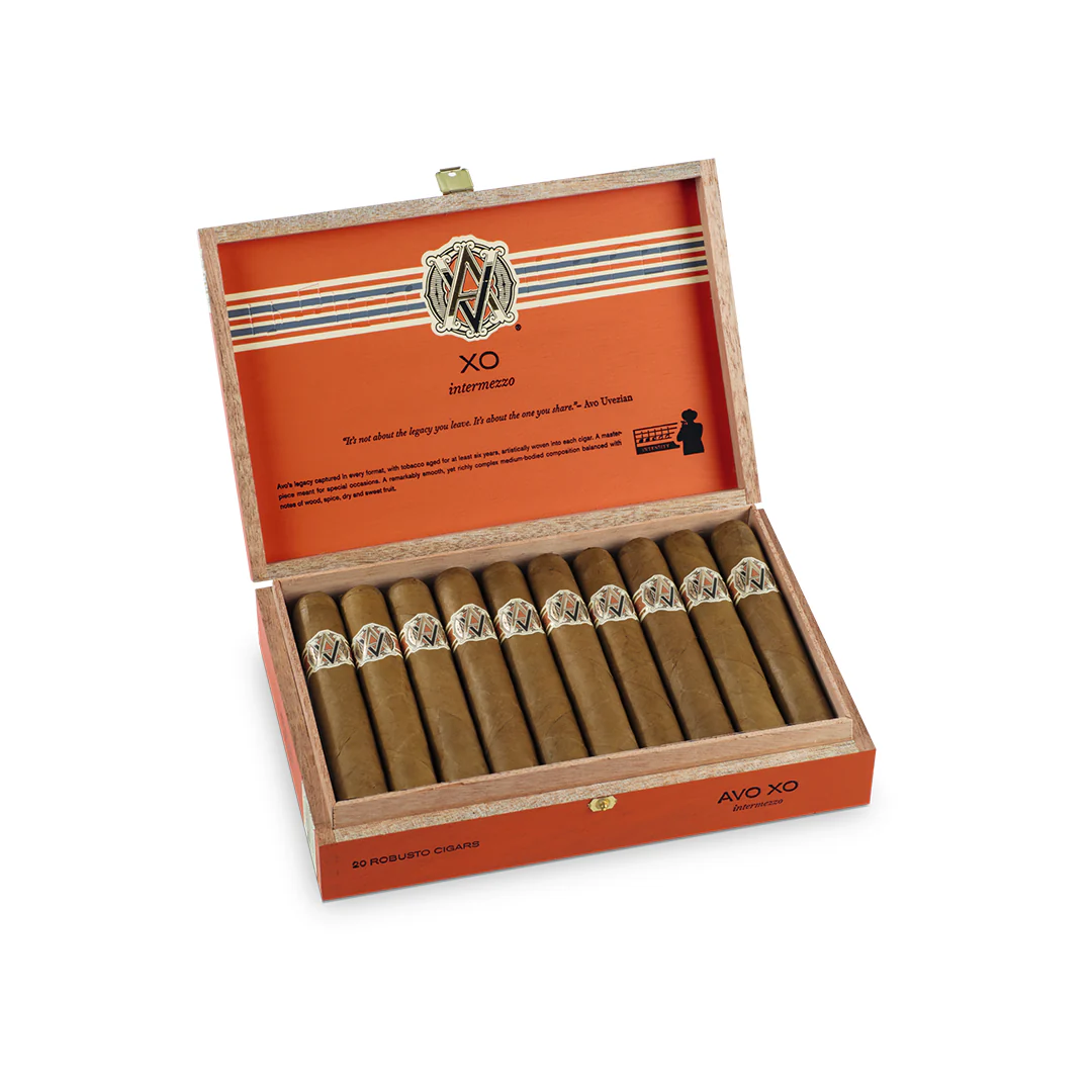 AVO XO Intermezzo Robusto - Image 2