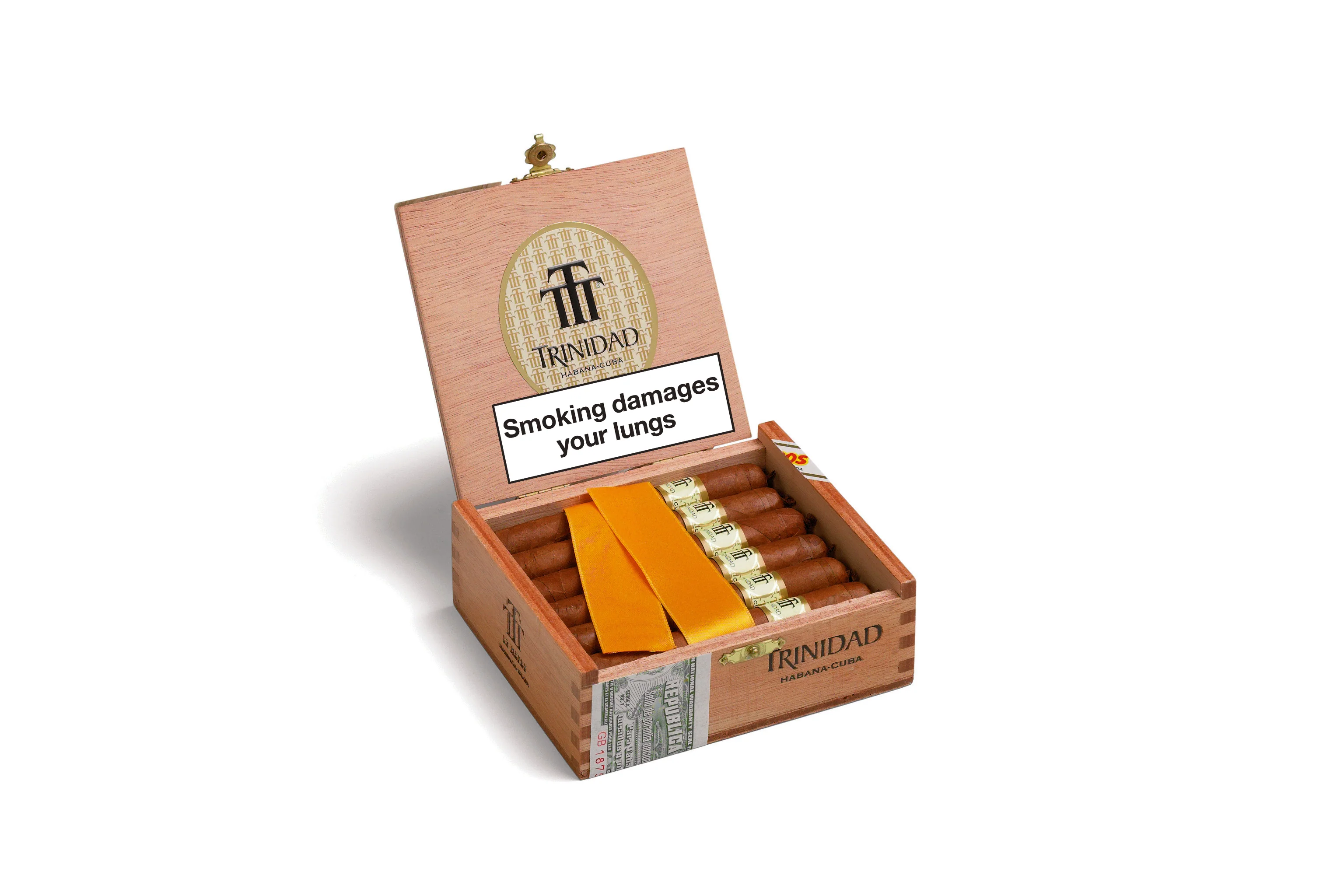 Trinidad Reyes - Image 2