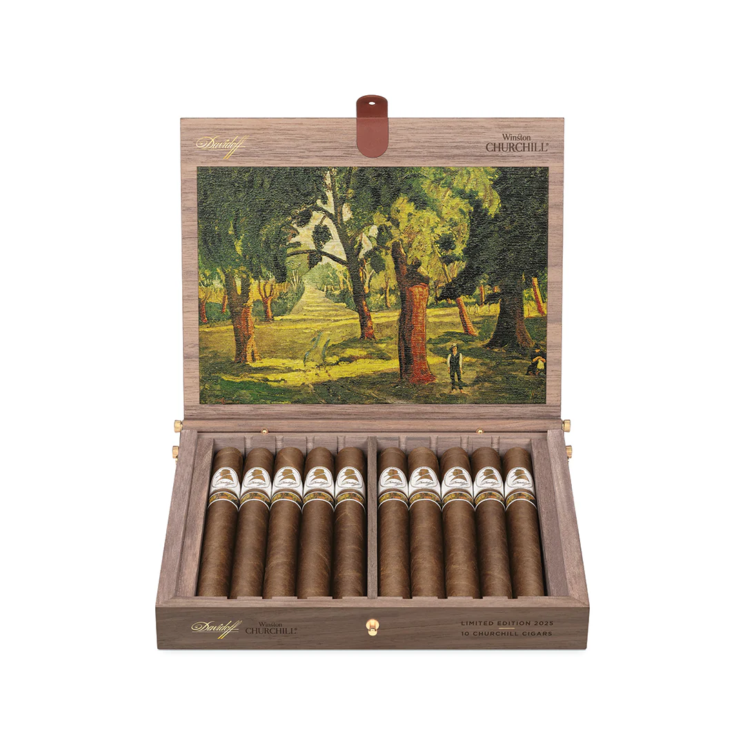 Winston Churchill Limited Edition 2025 - The Artist - Image 2